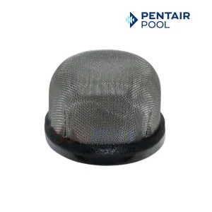 Pentair Air Vent Strainer For Nautilus Plus and FNS DE Filters | 3/4" | 172855