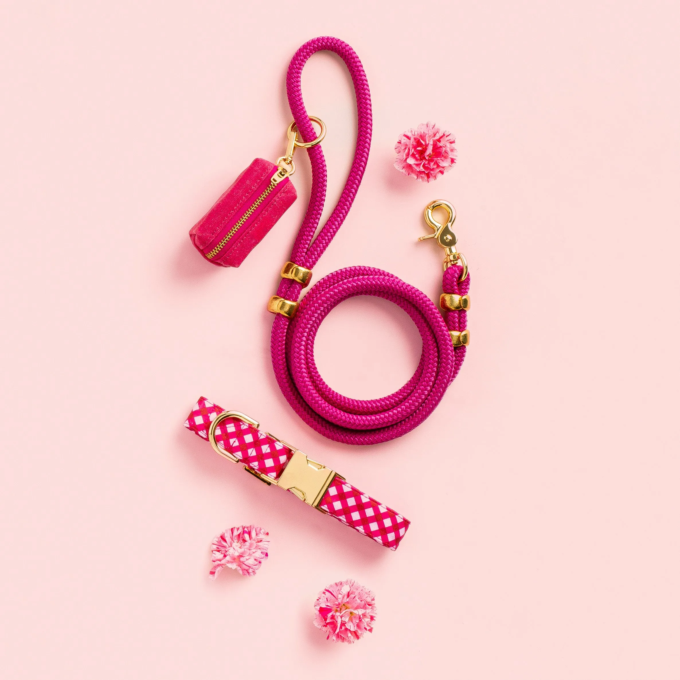 Raspberry Gingham Collar Walk Set