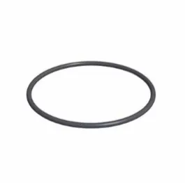 Strainer Basket O'Ring