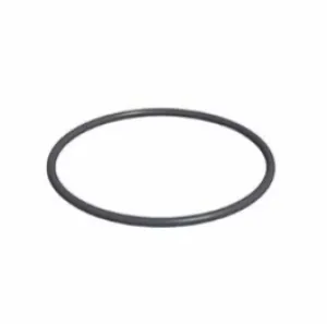 Strainer Basket O'Ring